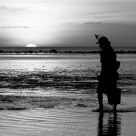 Catching Crab